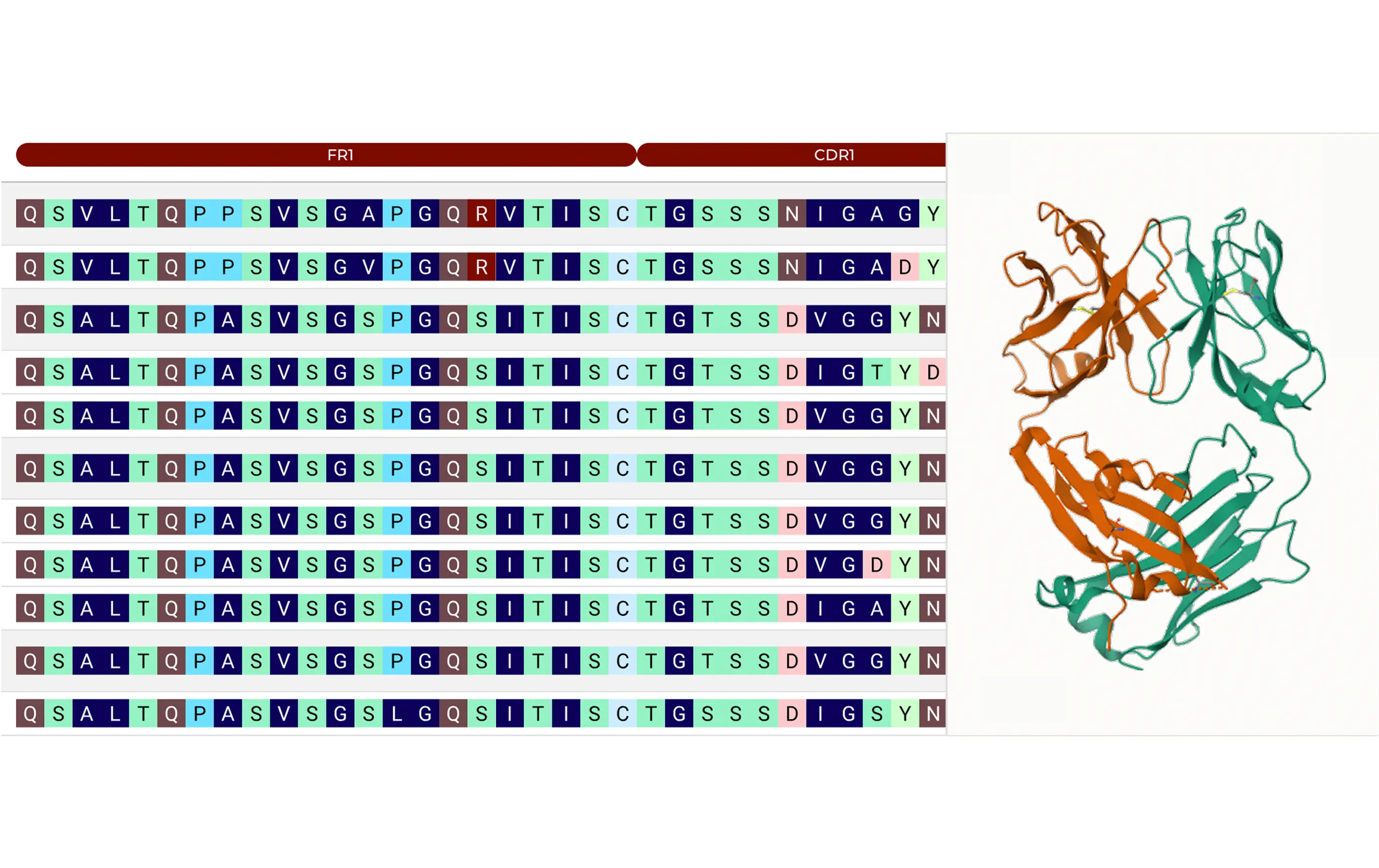 Clones aligned with affinity data.